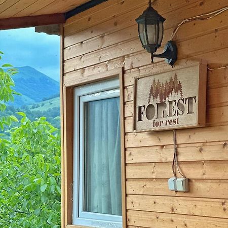 Forrest-For Rest Bed & Breakfast Dilican Dış mekan fotoğraf