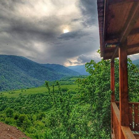 Forrest-For Rest Bed & Breakfast Dilican Dış mekan fotoğraf
